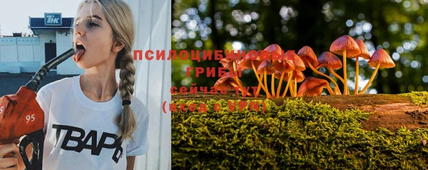 гидропоника Красноперекопск