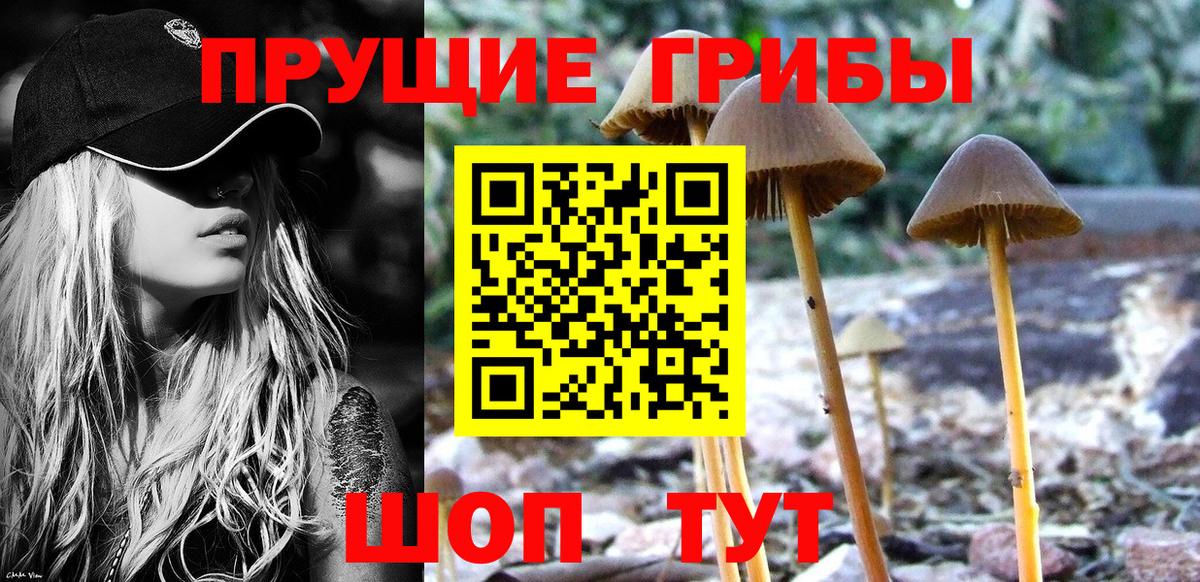 Галлюциногенные грибы прущие грибы  Псилоцибиновые грибы Cubensis  Норильск 